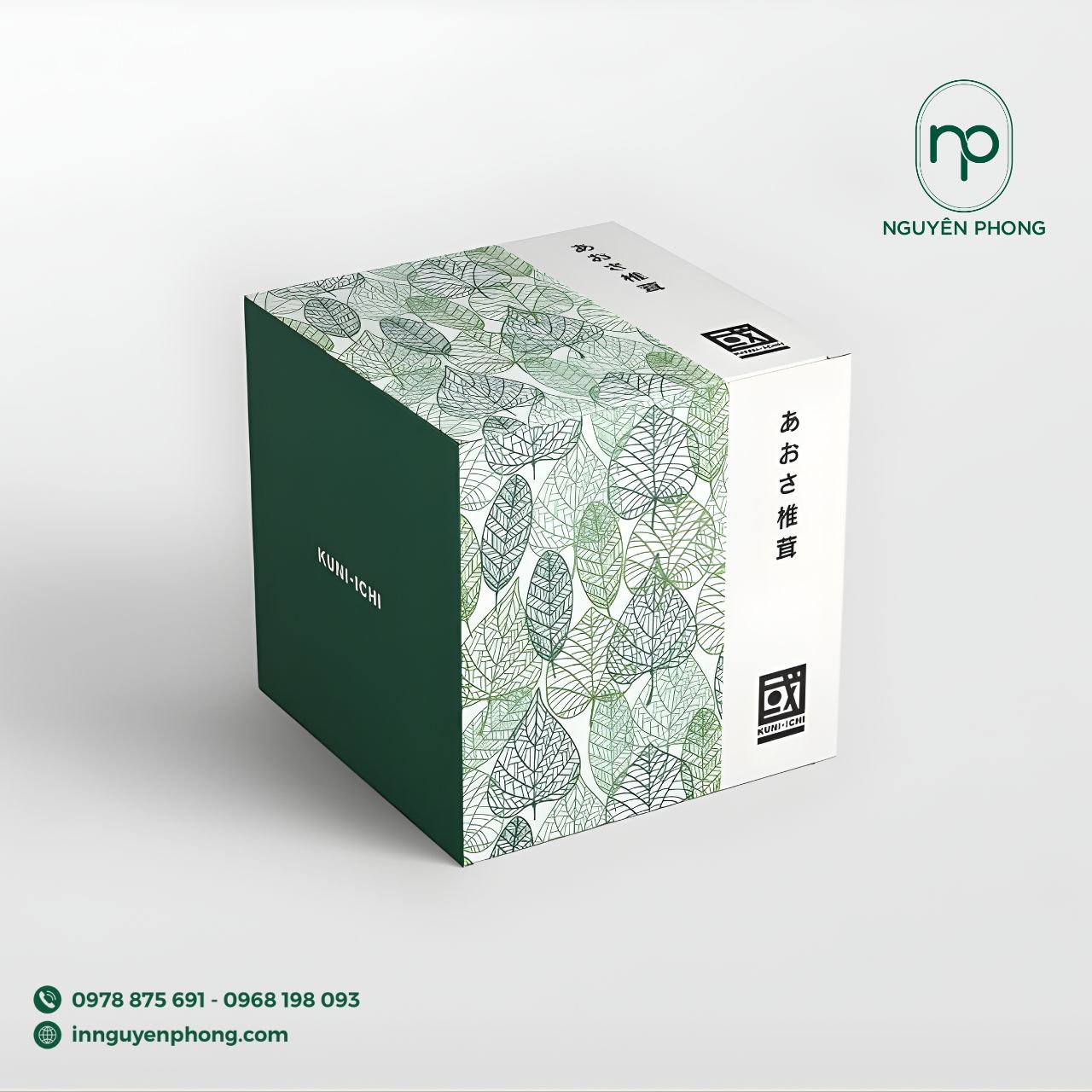 Mẫu hộp giấy cao cấp đựng matcha